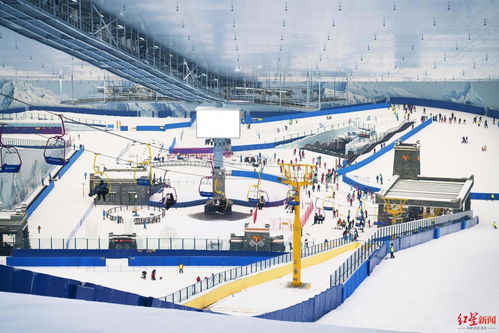 就地过年催生酒店热，高端消费现新风 技术服务与开发人员豪掷40万预订11间房的背后